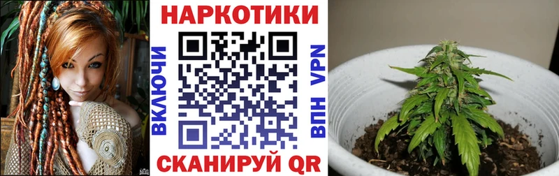 Псилоцибиновые грибы Ялуторовск
