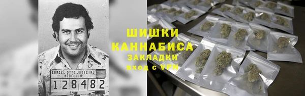 ГАЛЛЮЦИНОГЕННЫЕ ГРИБЫ Абинск