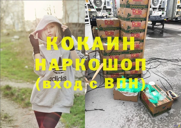 ешки Алексин