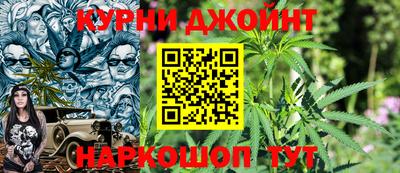 гашик Новокубанск