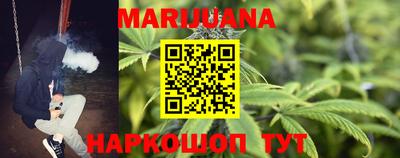 гашик Новокубанск