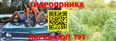 синтетический гашиш Новодвинск