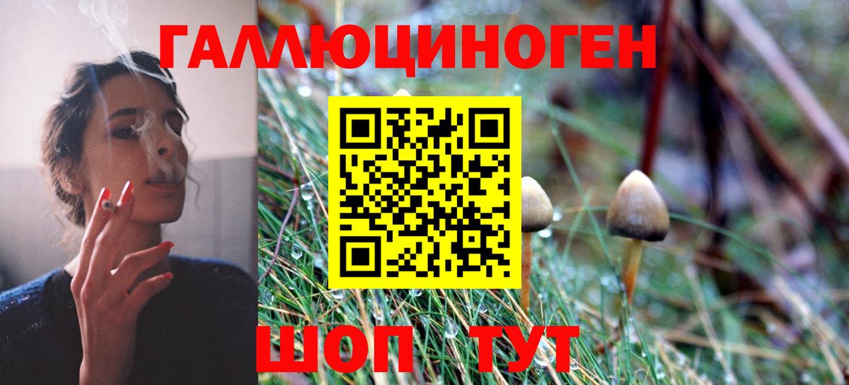 Галлюциногенные грибы Cubensis Ялуторовск