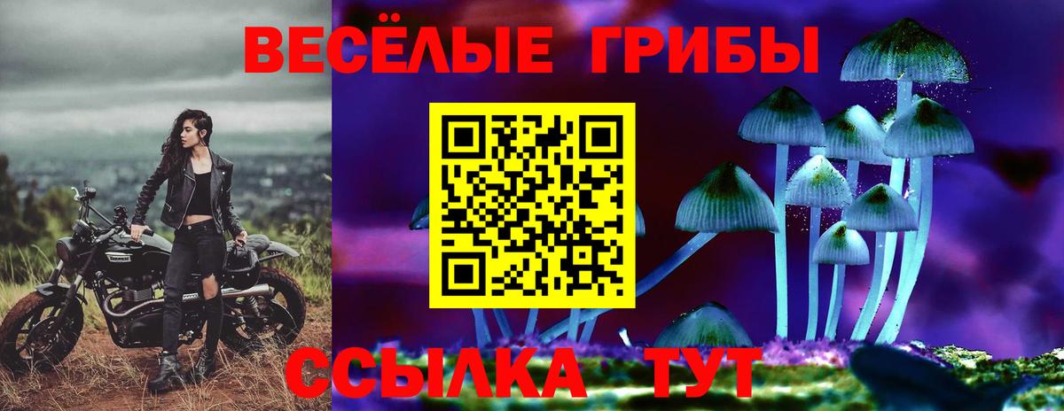 Псилоцибиновые грибы прущие грибы  Вход с VPN  дарнет шоп  Ялуторовск 