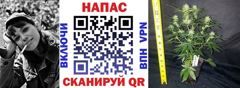 МАРИХУАНА VHQ  Ялуторовск 